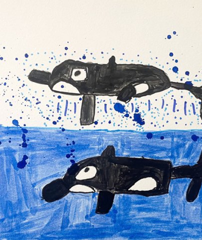 Dues orques i esquitx