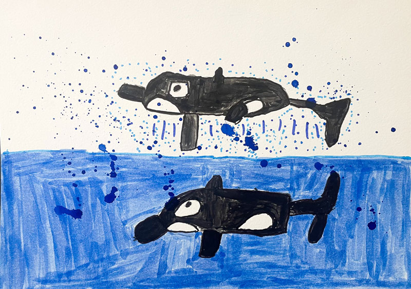 Dues orques i esquitx