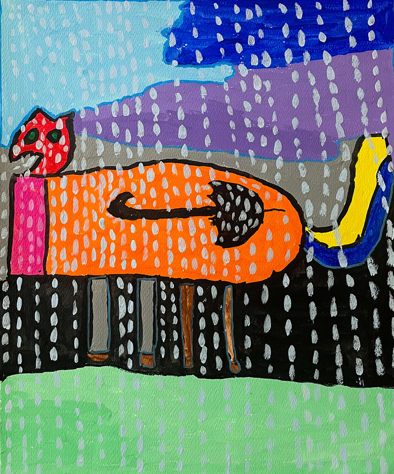 El gato se comió un paraguas